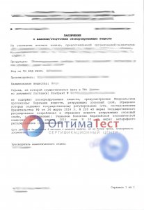 Озоновое заключение фото