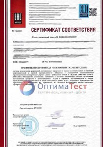 ГОСТ Р ИСО/ТУ 29001-2007 фото